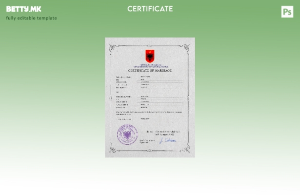 Модерен стил на Албанија, шаблон за PSD, шаблон за извод за брак